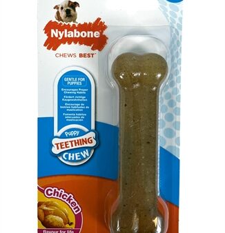 Nylabone Puppy Chew Kipsmaak