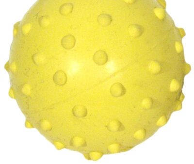 Happy Pet Rubber Bal Met Bel