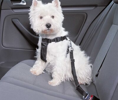 Trixie Hondentuig Auto Inclusief Gordel Zwart