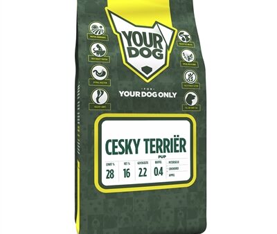 Yourdog Cesky Terriër Pup