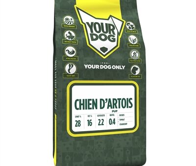 Yourdog Chien D'artois Pup
