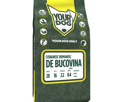 Yourdog Ciobanesc Romanesc De Bucovina Pup