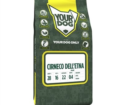 Yourdog Cirneco Dell'etna Pup