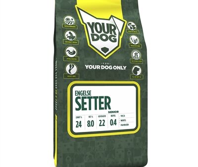 Yourdog Engelse Setter Senior