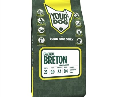 Yourdog Epagneul Breton Volwassen