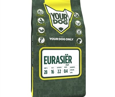 Yourdog Eurasiër Pup