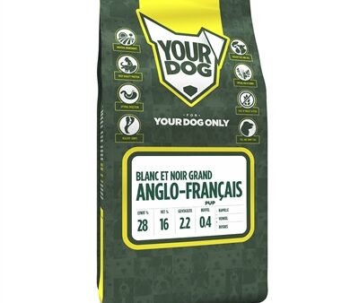 Yourdog Grand Anglo-Français Blanc Et Noir Pup