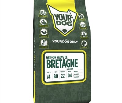 Yourdog Griffon Fauve De Bretagne Senior