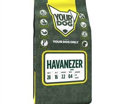 Yourdog Havanezer Pup