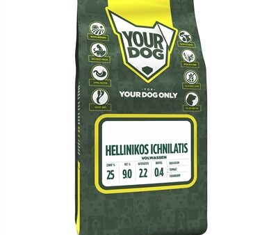 Yourdog Hellinikos Ichnilatis Volwassen