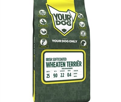 Yourdog Irish Softcoated Wheaten Terriër Volwassen