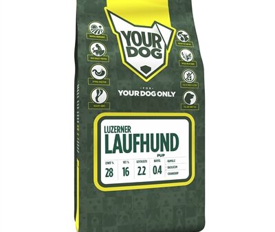 Yourdog Luzerner Laufhund Pup