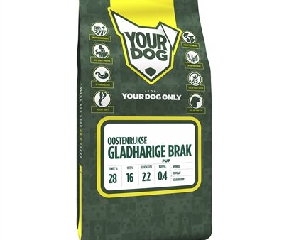 Yourdog Oostenrijkse Gladharige Brak Pup