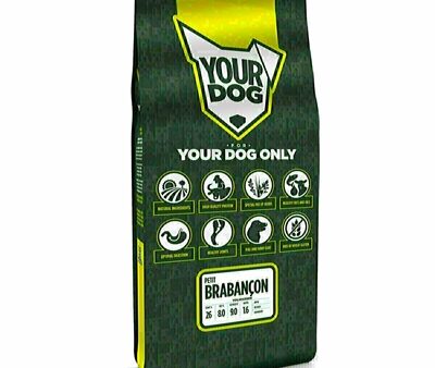 Yourdog Petit Brabançon Volwassen