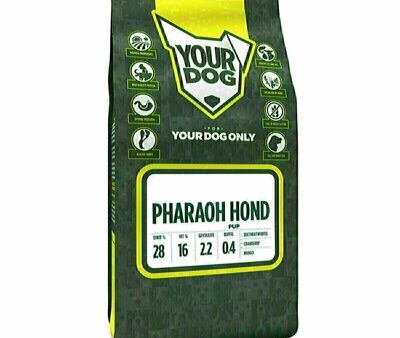 Yourdog Pharaoh Hond Pup