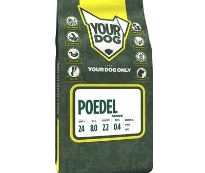 Yourdog Poedel Senior