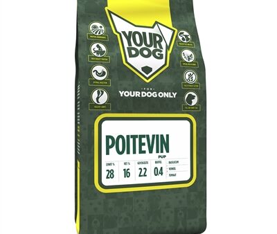 Yourdog Poitevin Pup