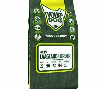Yourdog Poolse Laagland Herder Volwassen