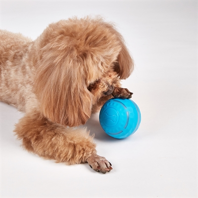 Fofos Rol Bal Oplaadbaar Voor Honden - Afbeelding 4