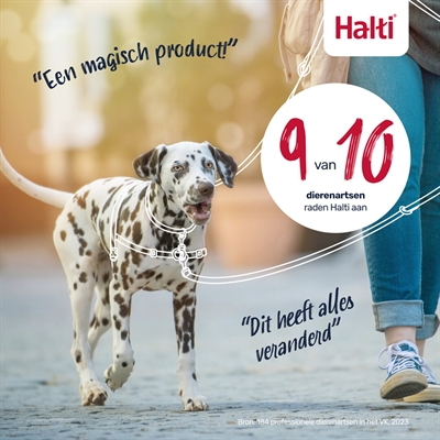 Halti Harness Front Control Zwart - Afbeelding 8