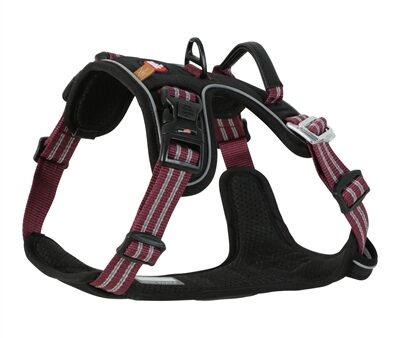 Zolux Bvk Hondentuig Red