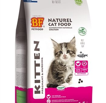 Bf Petfood Premium Quality Kat Kitten Pregnant / Nursing