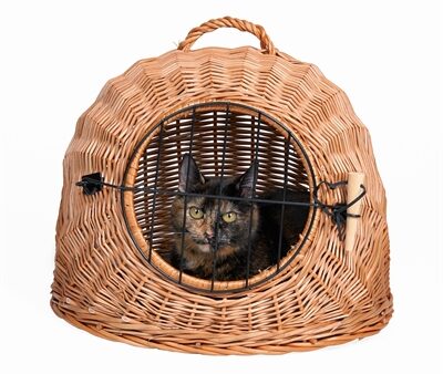 Trixie Rotan Kattenmand Met Deur