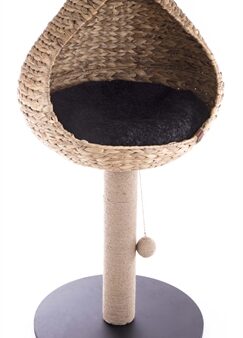 Martin Krabpaal Vietnam Met Mand Druppel Waterhyacint