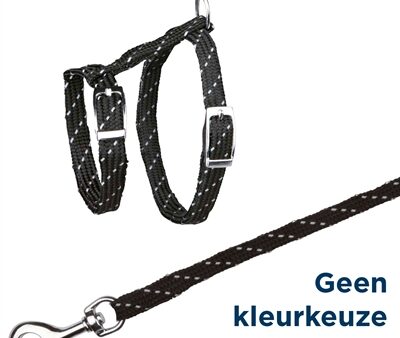Trixie Kittentuig Met Riem Reflecterend Assorti